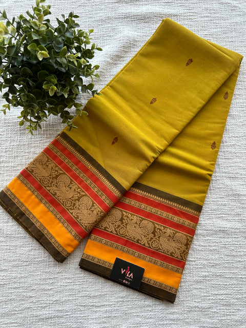 Handloom chettinad cotton saree