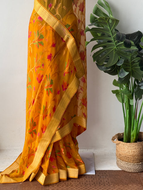 Brasso chiffon saree