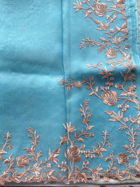 Embroidered border Pure organza saree