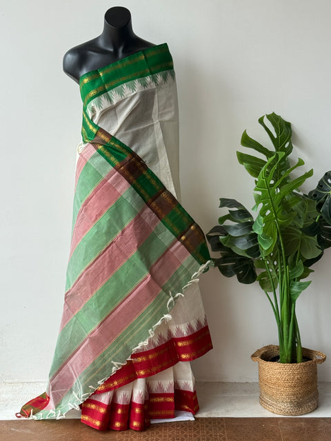 Ganga Jamuna Border Chettinad cotton saree