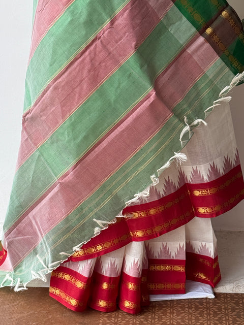 Ganga Jamuna Border Chettinad cotton saree