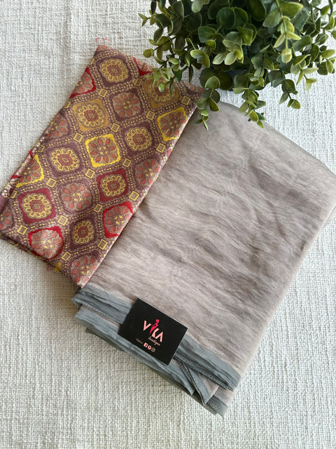 Shiny tissue organza saree