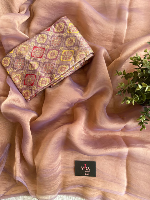 Shiny tissue organza saree